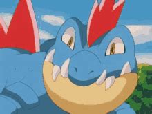 feraligatr gif|Pokemon.